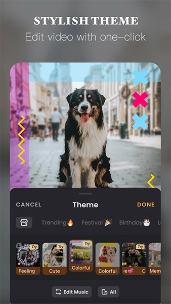 vivavideo会员解锁版