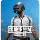 pubg台服手游