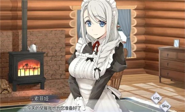 我与索菲亚的秘密游戏