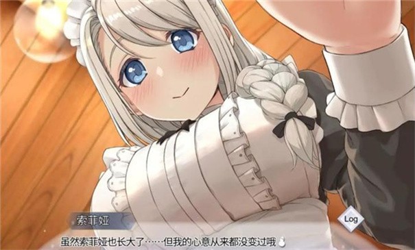 我与索菲亚的秘密游戏