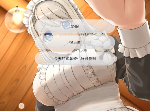 我与索菲亚的秘密游戏