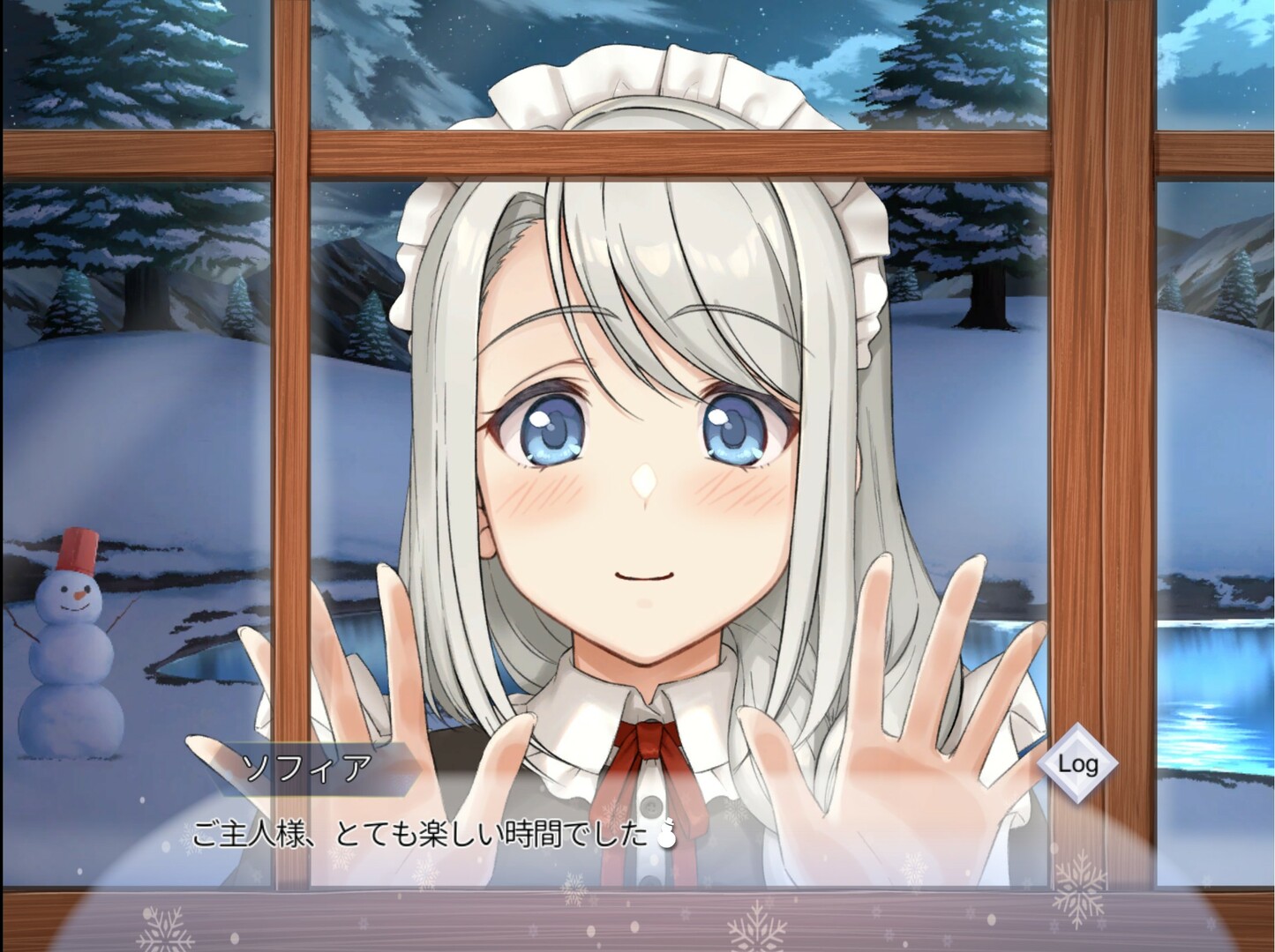 我与索菲亚的秘密游戏