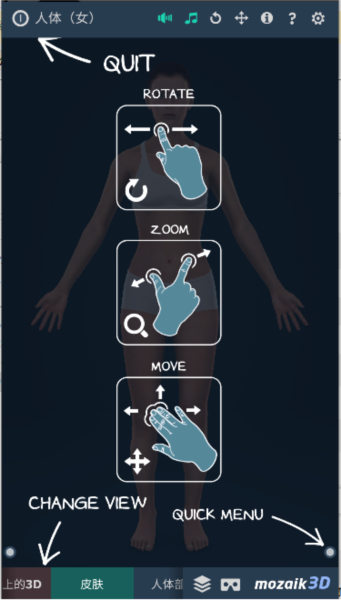 Human body (female)图片1