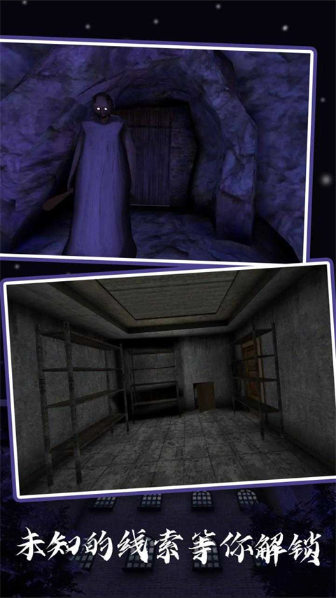 恐怖老奶奶5苏醒时刻手机版