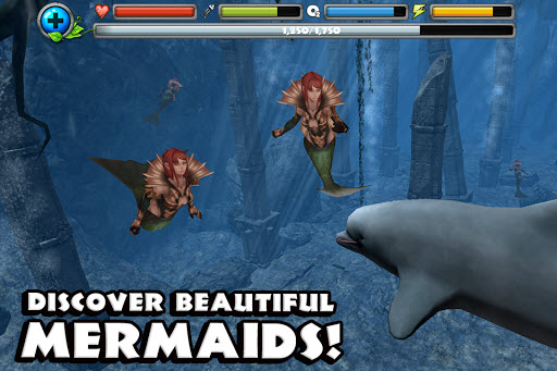 海豚模拟器中文版