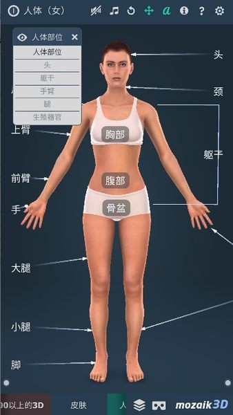 humanbody女士版