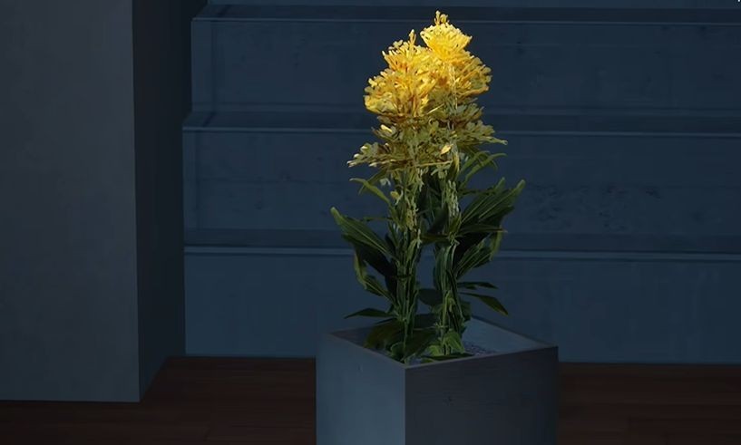 狼伴侣游戏手机版