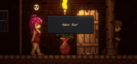 drainmansion汉化版