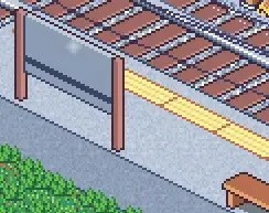 寻找夏日的宝物