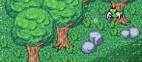 寻找夏日的宝物