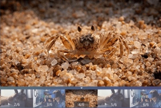 逐格光影官方版