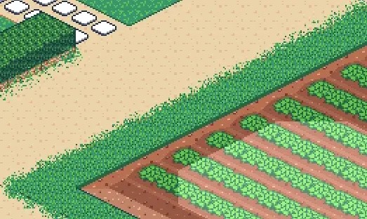 寻找夏日的宝物