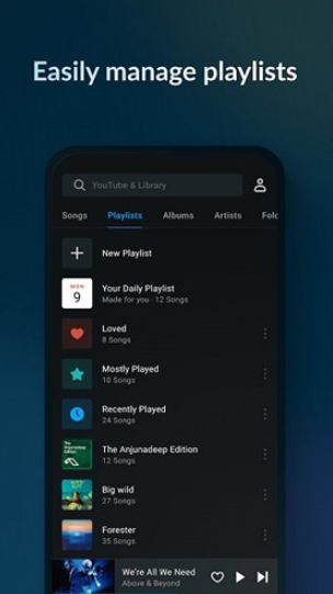 Lark Player中文版