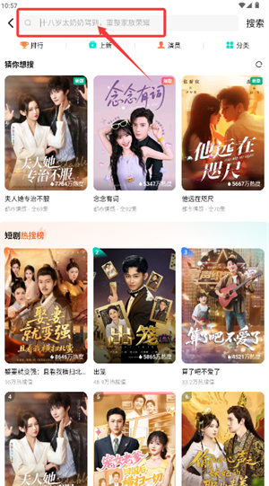 番茄免费短剧怎么播放视频配图1