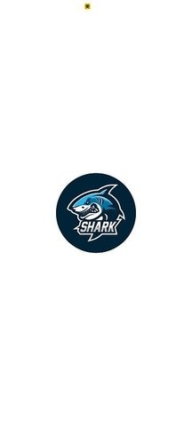 鲨鱼动漫纯净版