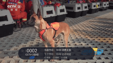 云海电视直播高清免费版