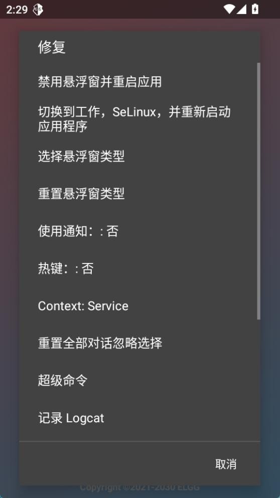 county防闪器辅助1.16