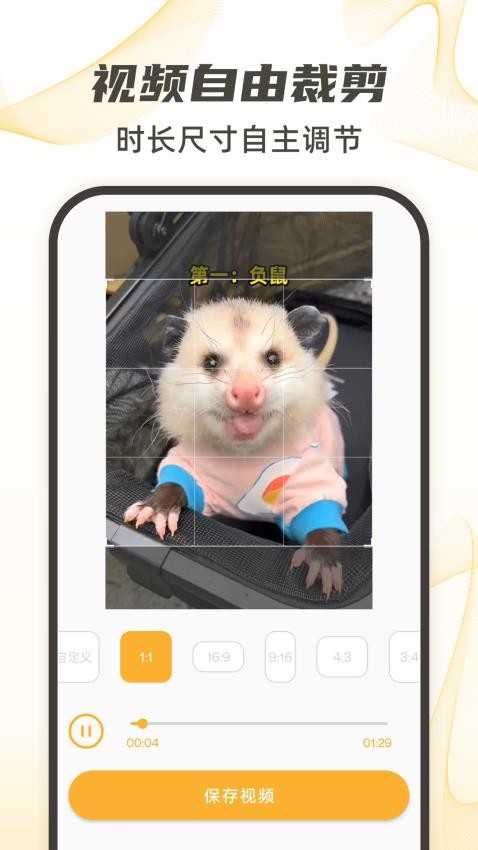 视频下载去水印官网最新版