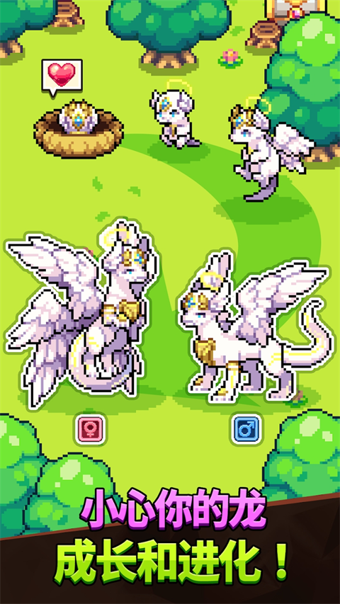 龙村收集（DVC）