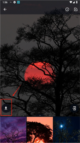 wallpaper engine 18+