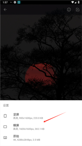 wallpaper engine 18+