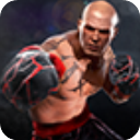 真实拳击2（Real Boxing 2）