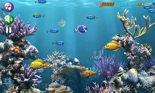 大鱼吃小鱼（Big Fish Eat Small Fish）