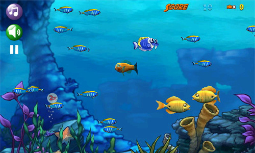 大鱼吃小鱼（Big Fish Eat Small Fish）