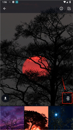 wallpaper engine 18+