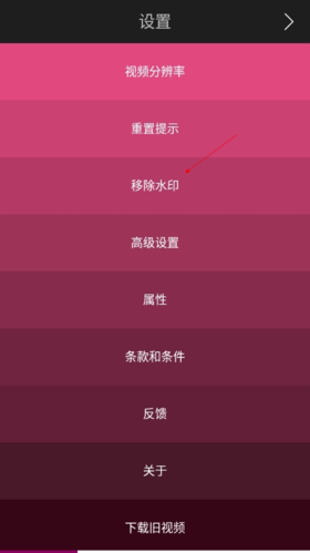 Triller怎么有水印2