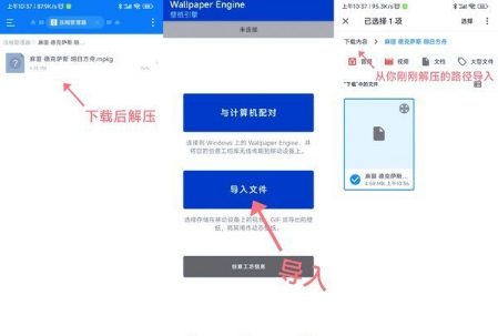 麻匪壁纸导入操作示意图