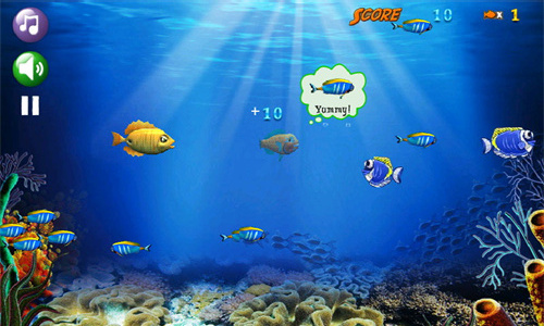 大鱼吃小鱼（Big Fish Eat Small Fish）