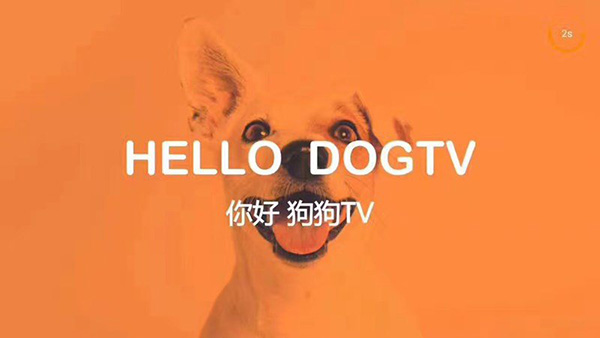 狗狗TV电视版