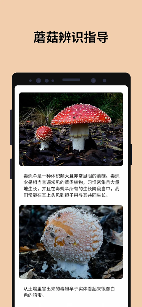 蘑菇识别扫一扫APP