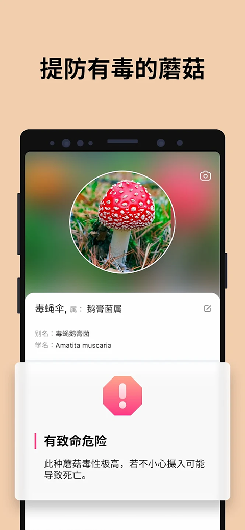 蘑菇识别扫一扫APP