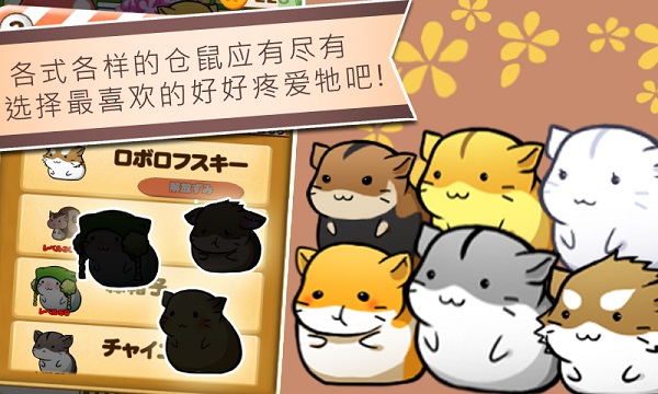 仓鼠的日常国际版