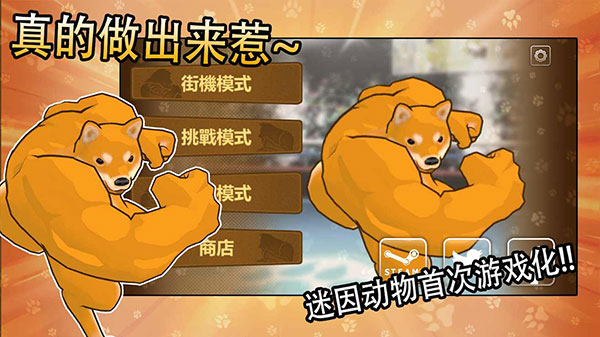 动物之斗竞技场