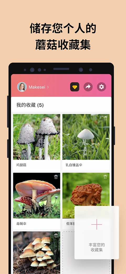 蘑菇识别扫一扫APP