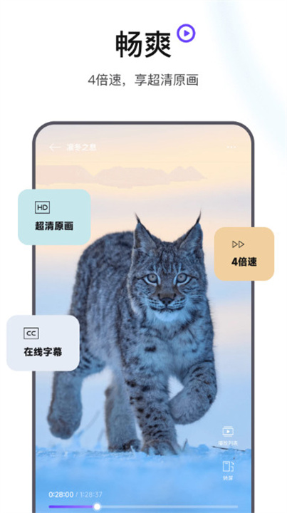 手机版迅雷浏览器