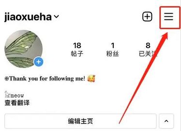 Instagram中文版