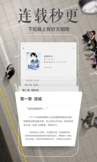 阅读界面示意图