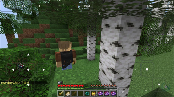 我的世界烦人的村民5.0