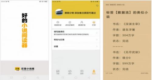 巨量小说搜