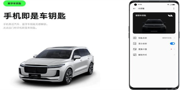 iccoacarlink华为版