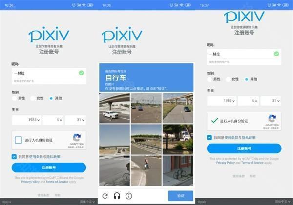 pxvr下载2025