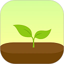 forest专注森林旧版本