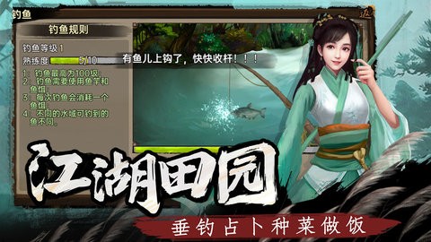 武林侠影正版