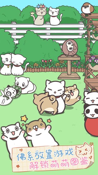 猫咪饲养日常无限金币版