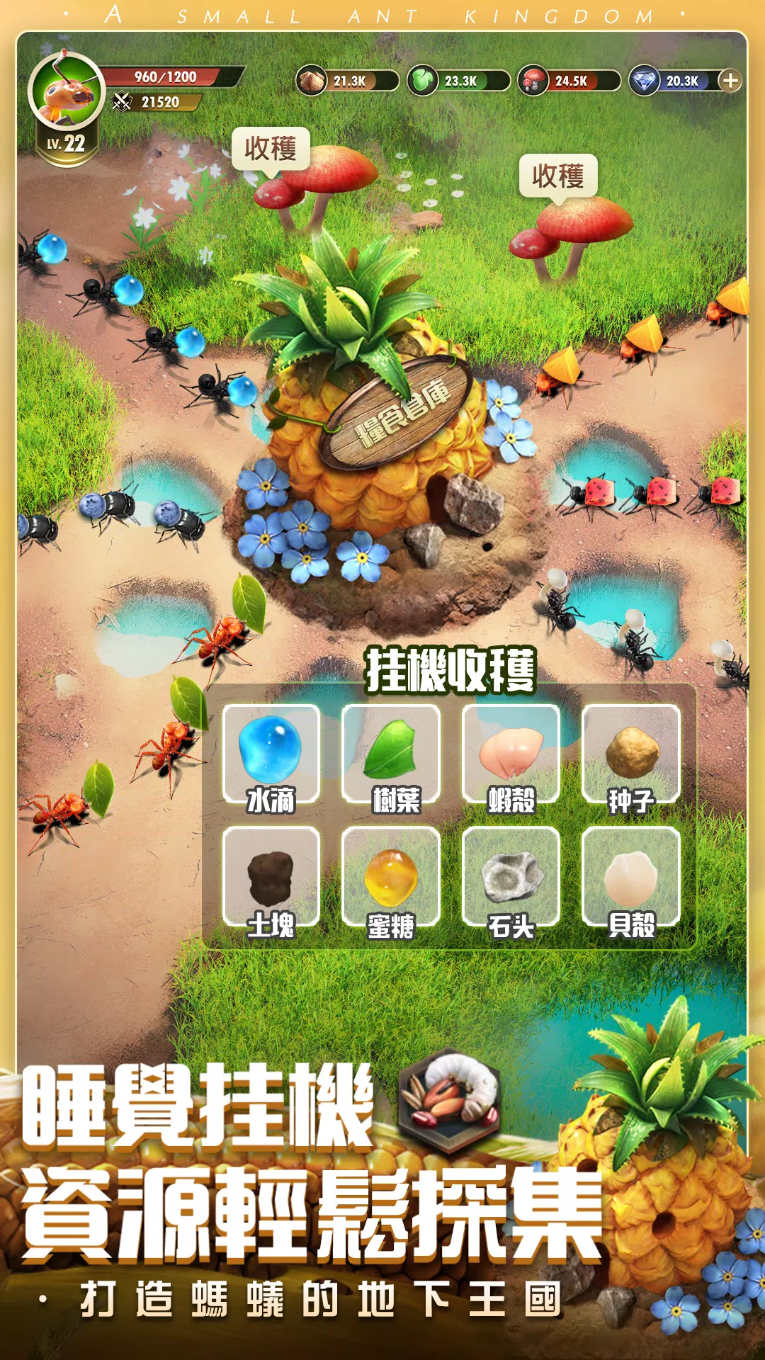 小小蚁国台服