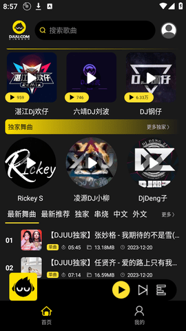 DJ呦呦音乐手机版